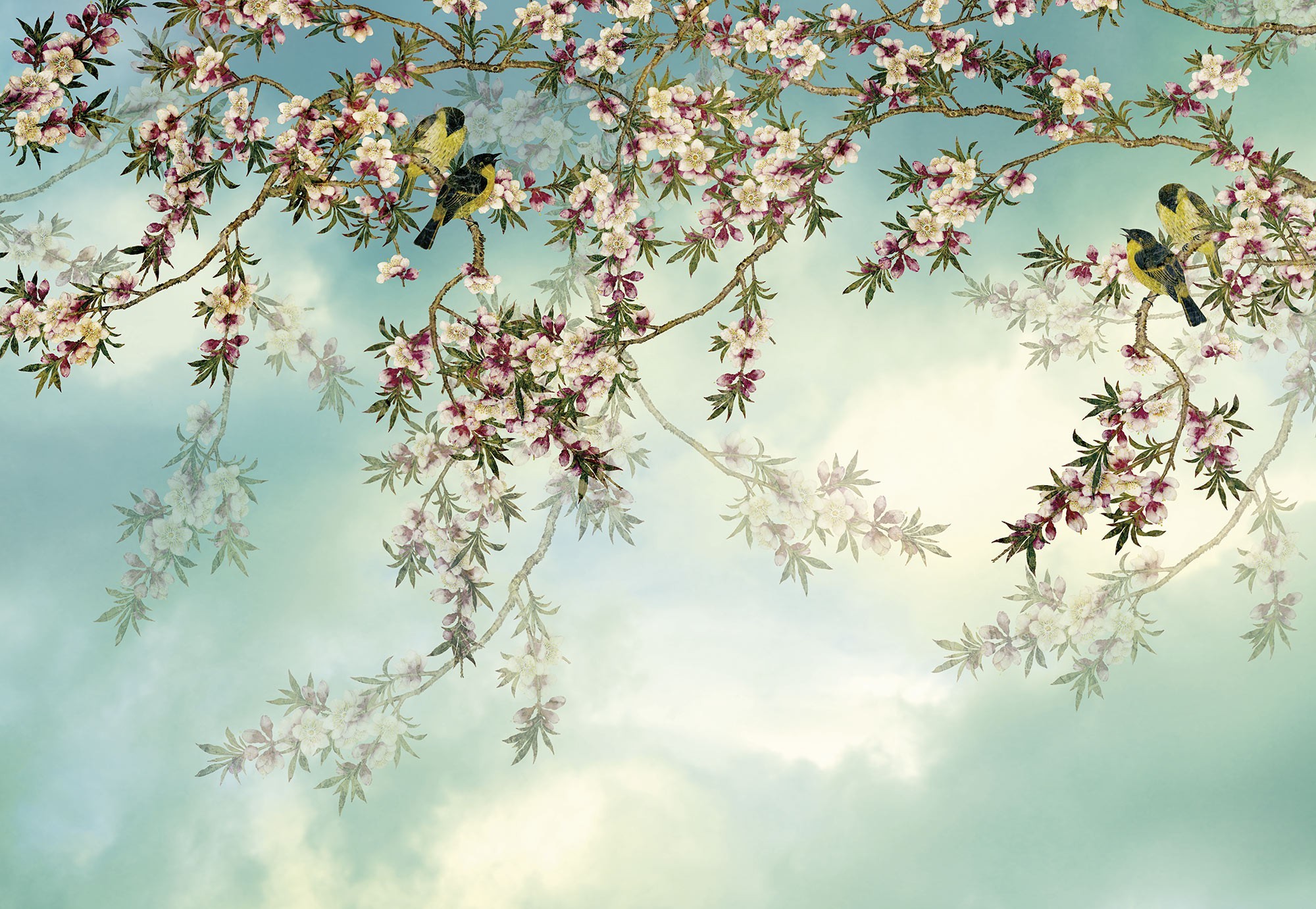 Cherry blossom купить. Фотообои Сакура Komar. Шинуазри Аффреско. Аффреско Сакура. Фотообои ботаника Komar xxl4-035 Botanica.