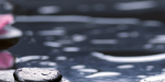 Керамическая плитка Нефрит-Керамика Вставка 04-01-1-10-04-04-162-2 Орхидея 