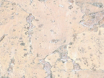 Пробковые полы Настенные пробковые покрытия Wicanders Stone Art Pearl TA 23 002 