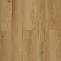 Ель Оберона CC007