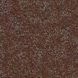 Tessera ethos 571