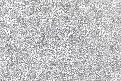 Elysium Веточки 25510