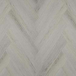 Горная акация CC020