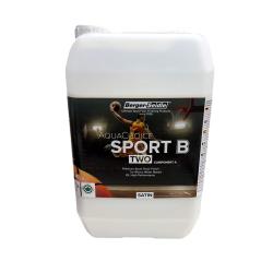 Двухкомпонентный лак Berger Aqua-Choice SPORT B TWO