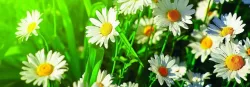 Кухонный фартук Рассвет