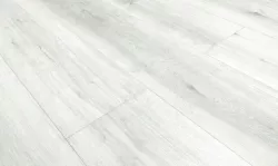 Дуб Рединг 67078