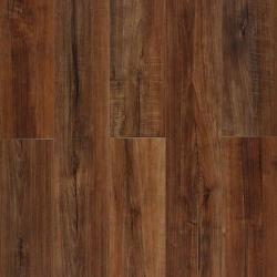 Секвойя горная CC003