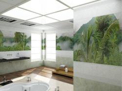 Тайна природы 06210