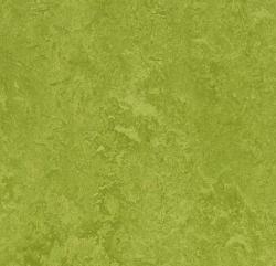 линолеум Fresco 2,5 3247 green