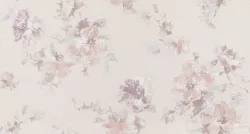 Modelli di Luce R25515