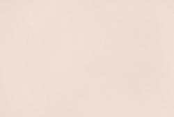 Elysium Бенто Е303504