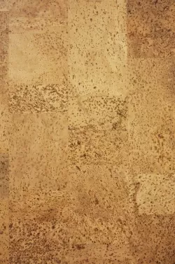 Basic Grace BJ 21063