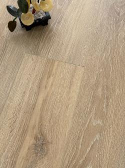 Дуб Магеллан AQ-12