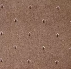 Palace 34