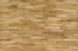 Дуб Amazon Molti