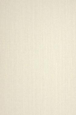 Сукно молочный 941403-208