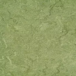 линолеум 125-100 frog green