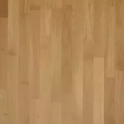Дуб Рейн