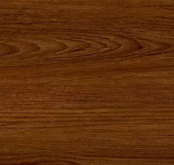 African Mahogany 538112