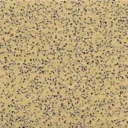 Коммерческий  линолеум 7302 Sahara