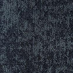 Arid Land 601509