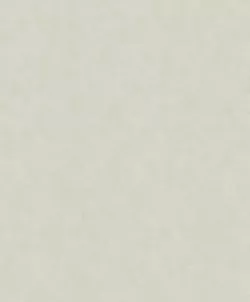Shades 32422