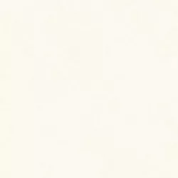 Artist R173002