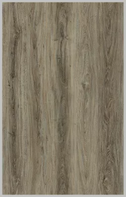 Дуб Европейский SPC8814