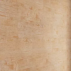 Apricot RY4V001