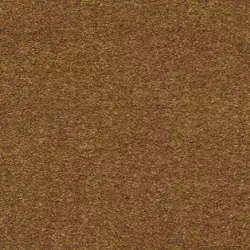 Sauvage 54