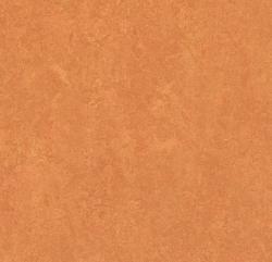 линолеум Fresco 2,5 3825 African desert