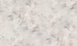 Modelli di Luce R25526