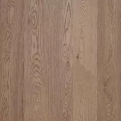 Дуб Тахо