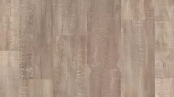 Finn