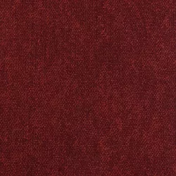 Coral 36
