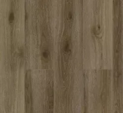 Kveld 1001-22