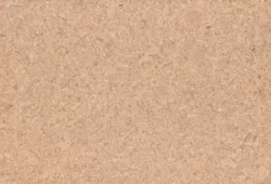 Basic Desert BLV0008