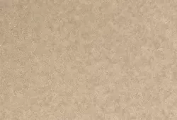 Интонако золотистый