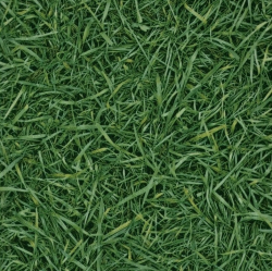 Бытовой  линолеум Grass 025
