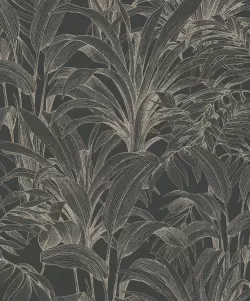 Asperia A51403