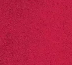 Rossini 13