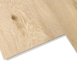 Дуб Москва А104