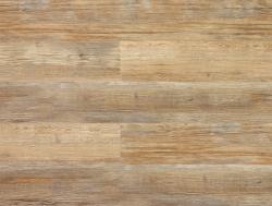 Сосна Медовая ZH-81101-4