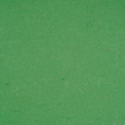 линолеум 137-006 vivid green