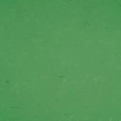 линолеум 137-006 vivid green