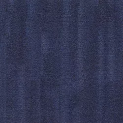 Coral 5408
