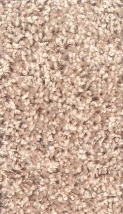 Фортуна 53
