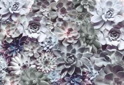 8-962 Shades