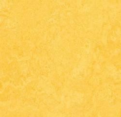 линолеум Fresco 2,5 3251 lemon zest