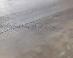 101 ASP Дуб Дижон